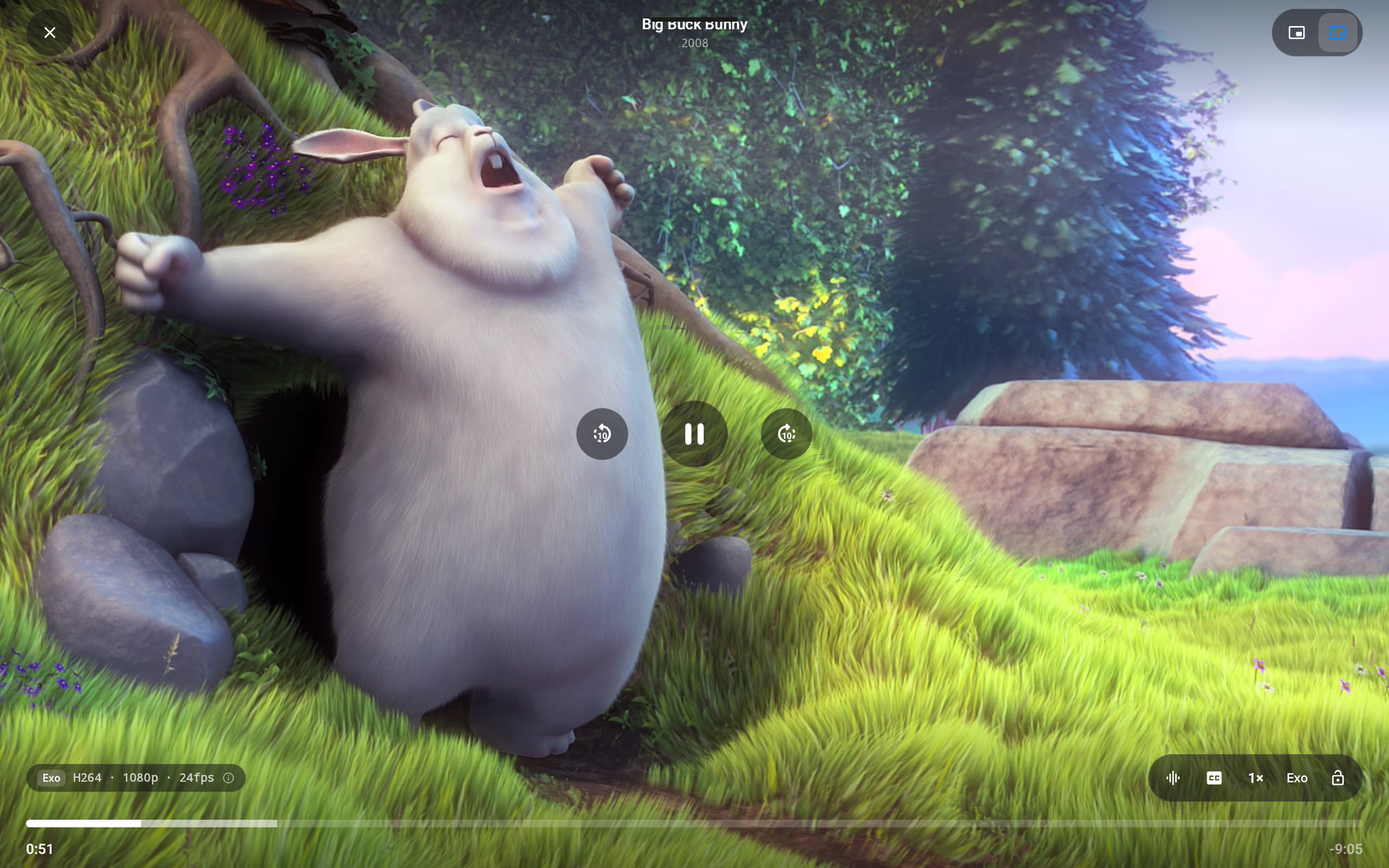 Video playback in Riveo on an Android tablet with subtitle, speed and audio controls