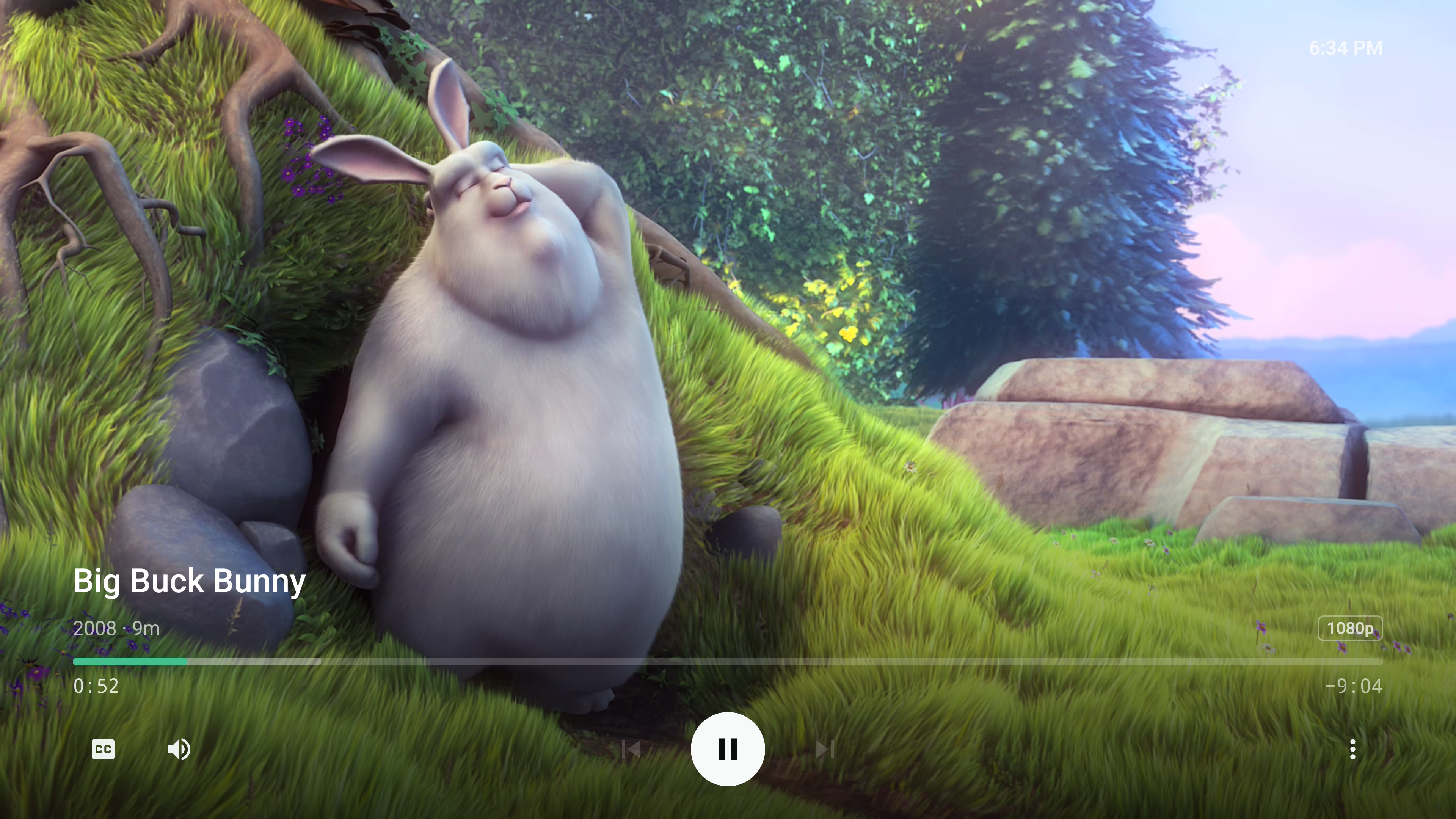 Video playback in Riveo on Android TV with subtitle and audio controls